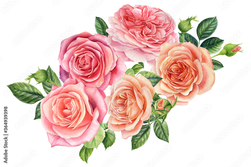 Bouquet of flowers pink roses, isolated white background. Watercolor delicate flowers 