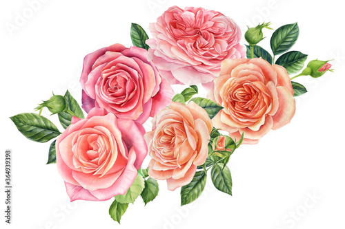 Bouquet of flowers pink roses  isolated white background. Watercolor delicate flowers 