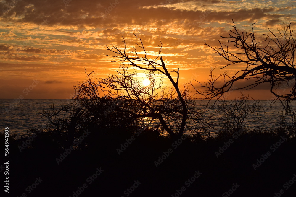 Fototapeta premium sunset on the lake