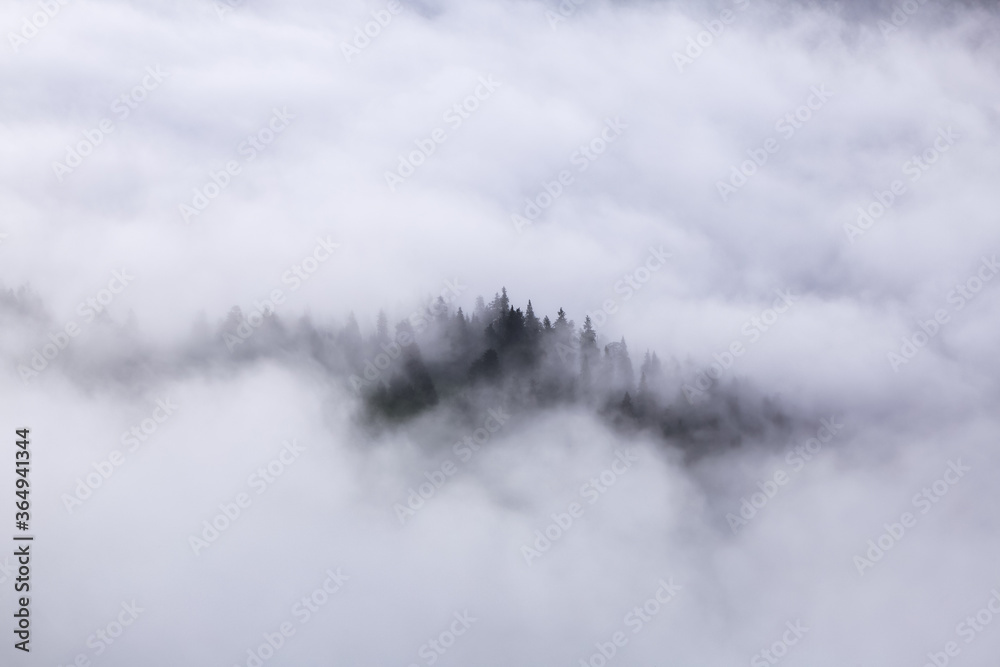 Amazing landscape with high mountains, fog and sky. The early morning mist. Majestic spring day. Dense fog with beautiful light. The lawn with green grass. Free space for text.