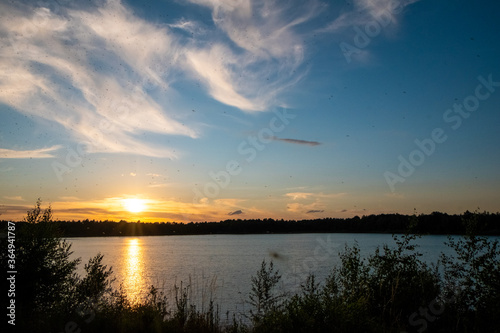 Panorama of a gorgeous sunset at a forest lake  with gold and blue color in the sky and trees reflected in the water. High quality photo