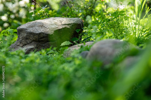Large stone lying on the green grass, close-up, shallow depth of field, selective focus. Nature concept in kind
