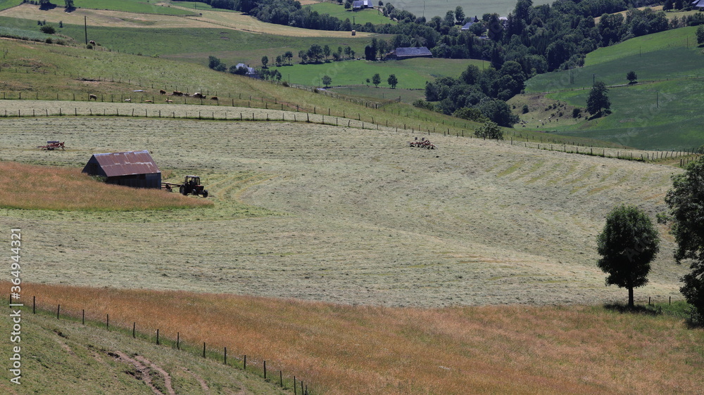Fototapeta premium estives du Cantal