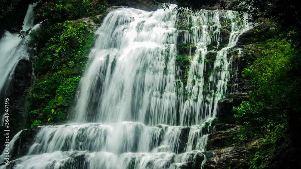 Obraz premium Flowing Waterfall on Hiking Trail in the Canadian Roockies, Canada.