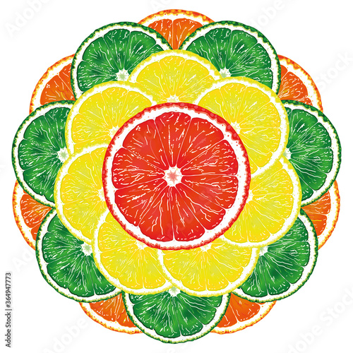 A set of slices of citrus fruits