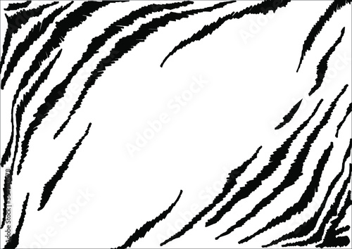 vector black and white print of wild animals leopard, Zebra