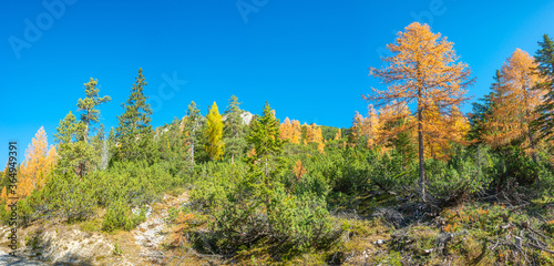 Panoramic view of magical nature in Dolomites at the national park Three Peaks (Tre Cime, Drei Zinnen) during sunset and golden Autumn, South Tyrol, Italy.