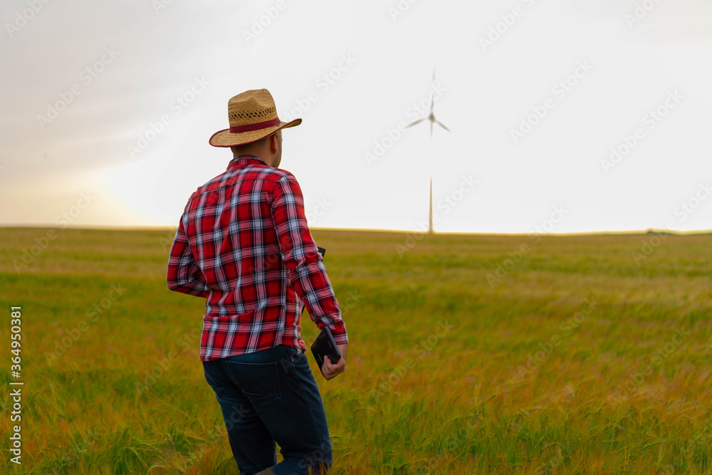 Farmer standing in wheat field, holding tablet and inspecting growth in crops. Nature Yellow field with grain. Wind mill in background Farmer standing in wheat field, holding tablet and inspecting growth in crops. Nature Yellow field with grain. Wind mill in background