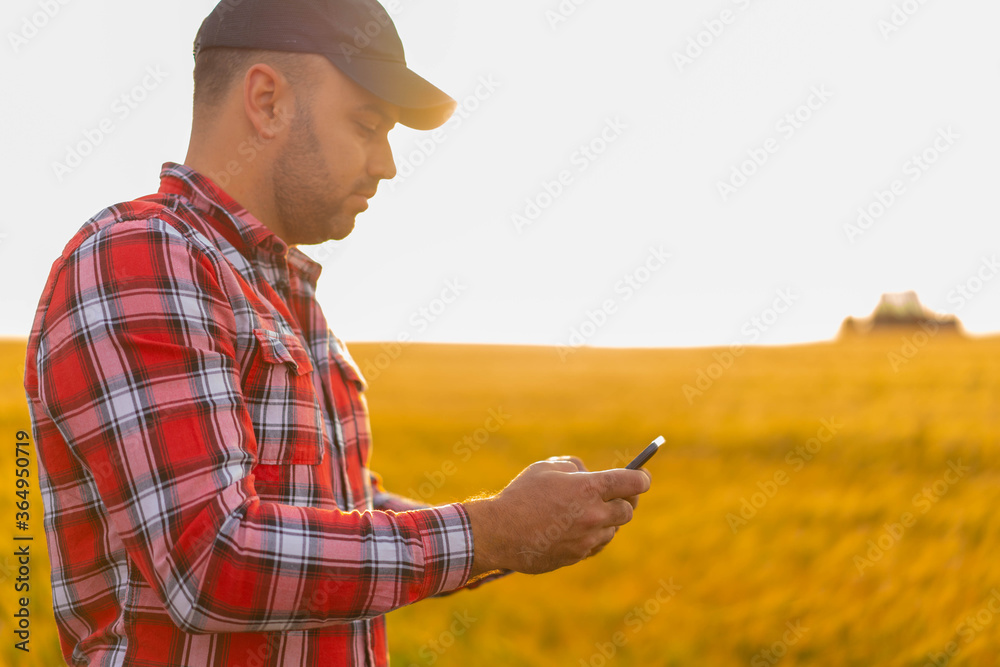 Farmer close-up holding and working on tablet in a wheat field. Nature Yellow field with grain. Farmer close-up holding and working on tablet in a wheat field. Nature Yellow field with grain.