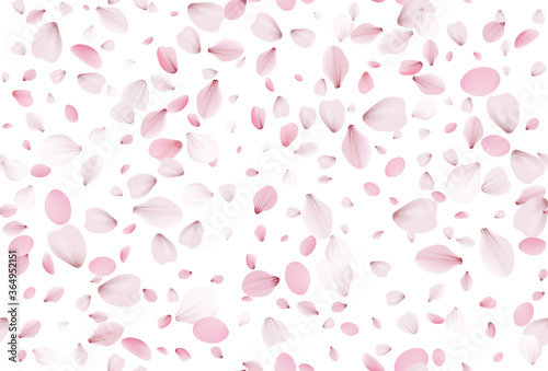 Wallpaper Mural Seamless sakura petals. Falling realistic cherry petals Torontodigital.ca