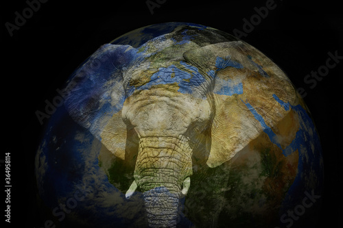 Planet earth with elephant