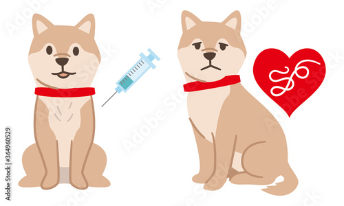 予防接種を受ける犬とフィラリアに感染した犬