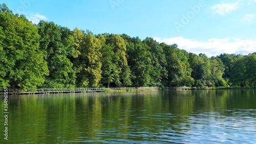 Silent lake with green trees on the edge, on a sunny day.