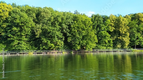 Silent lake with green trees on the edge, on a sunny day.