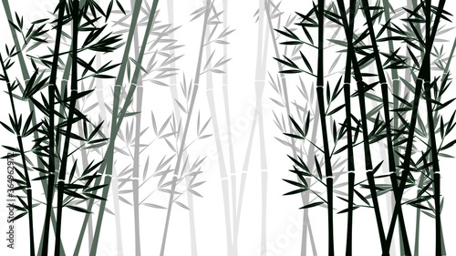 Bamboo forest vector. Nature. Japan. China. Green tree with leaves. Rainforest in Asia