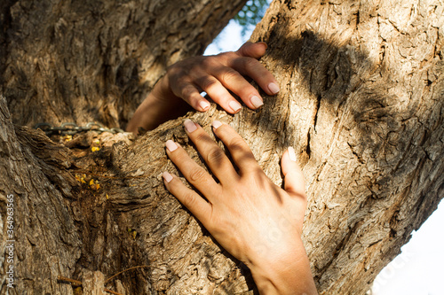 Manos de mujer abrazando un tronco de un árbol. Vista de frente y de cerca photo