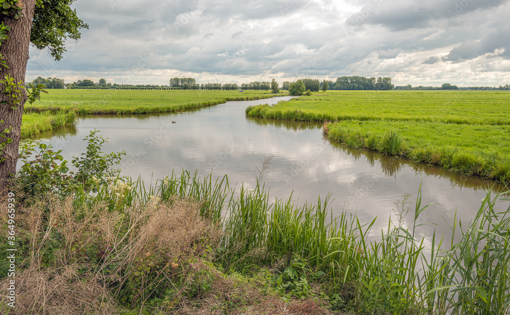 Typical Dutch polder landscape on a cloudy day in the summer season. It is windless and the smooth water surface reflects the cloudy sky.