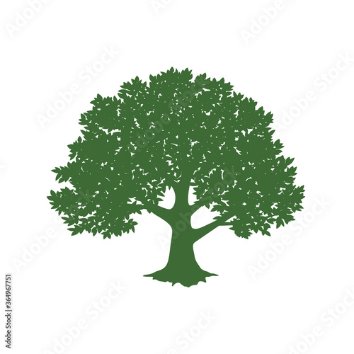 Green tree design. Vector illustration of nature. Eco logo design. Abstract organic design. Vector silhouette of a tree.