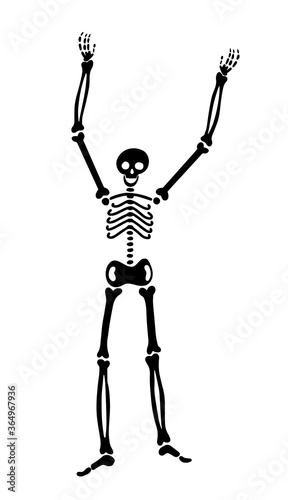 vector isolated illustration. human skeleton pulls hands to the sky. raised bones. element for halloween.