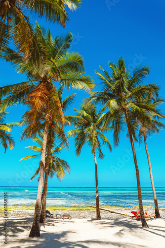 White sandy beach with palm trees