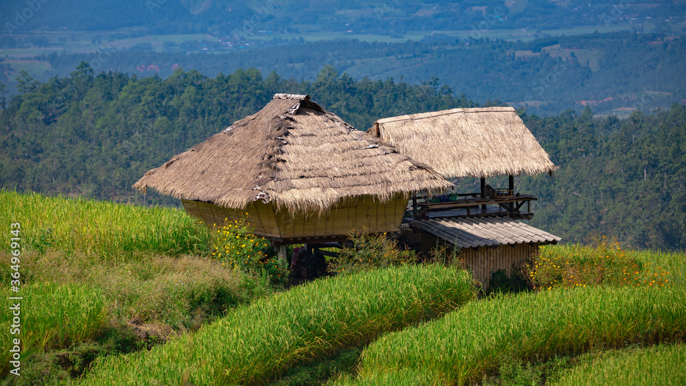 Beautiful landscape. Paddy fields at Pa Pong Pieng village, Mae Chaem, Chiang Mai, Thailand. Beautiful landscape. Paddy fields at Pa Pong Pieng village, Mae Chaem, Chiang Mai, Thailand.