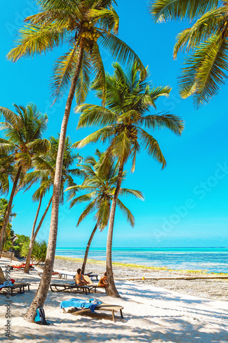Fototapeta Naklejka Na Ścianę i Meble -  Sandy beach with palm trees with ocean view