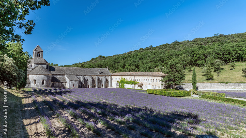 Abbaye de Senanque dans le Luberon et champs de lavande