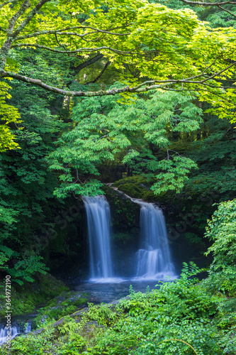 Fototapeta Naklejka Na Ścianę i Meble -  深緑の鐘山の滝