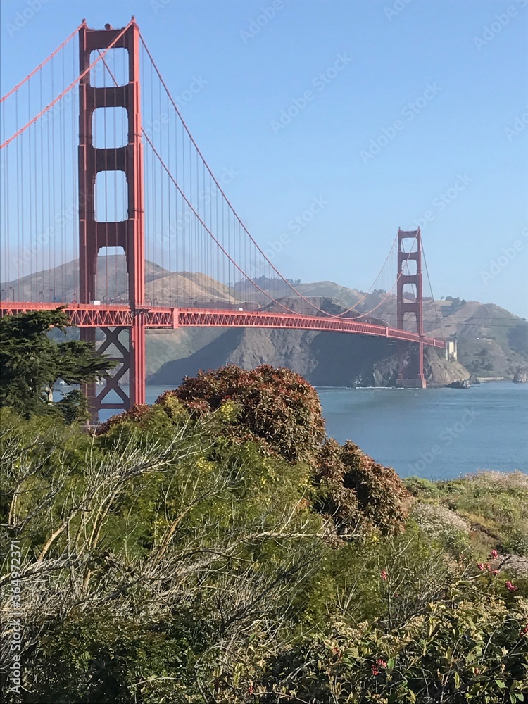 Fototapeta premium golden gate bridge