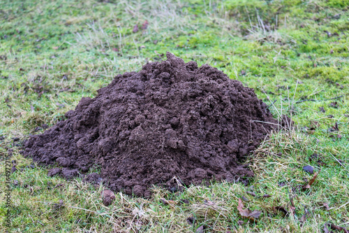 Large soil mole hill