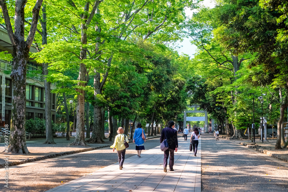 府中市 大國魂神社 参道