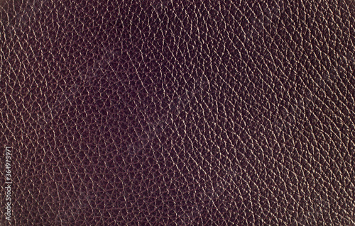 Wallpaper Mural Genuine leather texture dark brown color. Leather surface. Close up. Copy space. Torontodigital.ca