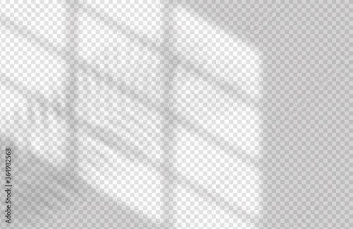 Window and Leaf Realistic Shadow Mock Up Template. Tropical leaf and light from window overlay mockup for social media, banners and advertising.