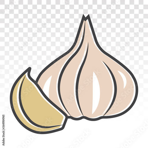 Fresh garlic bulbs / allium sativum flat colours icons for apps and websites