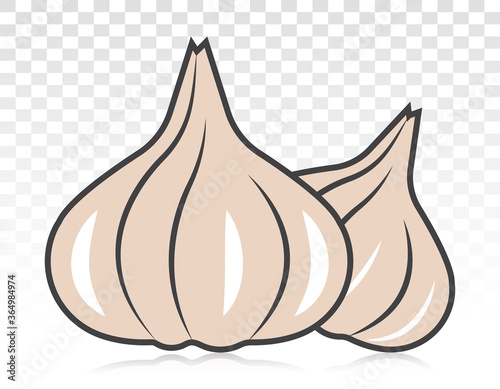 Garlic / allium sativum flat colour icon for apps and websites