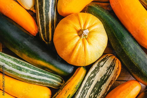 Randomly laid out different-grade multicolored zucchini and pumpkin. The view from the top photo