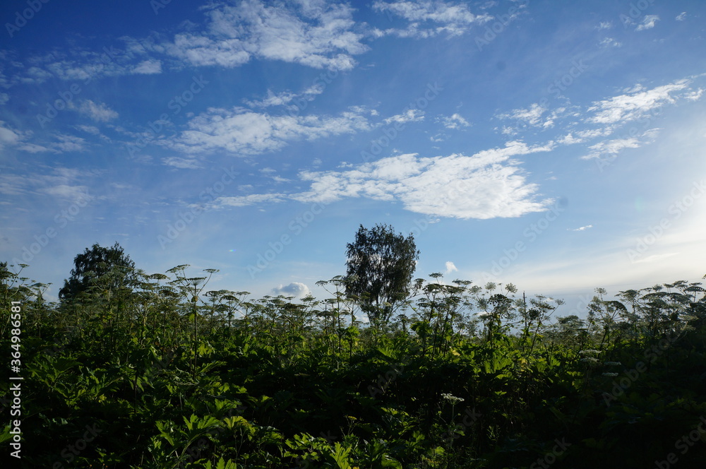 Obraz premium sky and clouds