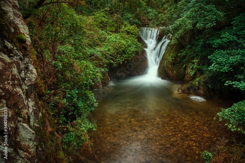 waterfall in the woods