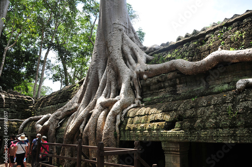 カンボジアのアンコール遺跡群 Beautiful historic Angkor ruins in Cambodia