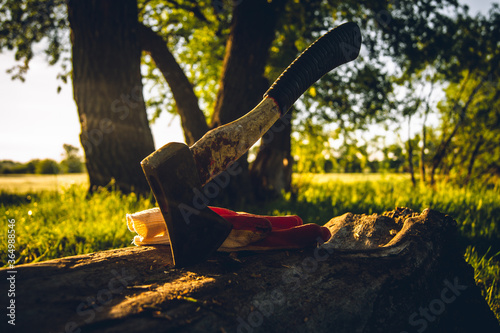 Axe in the wood