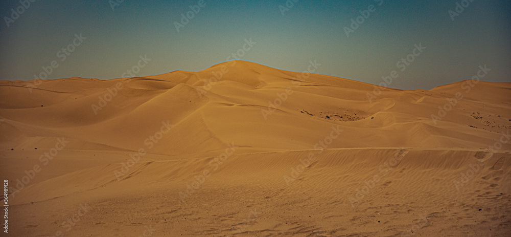 Desert Sand Wide Shot 