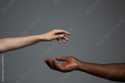 Touch of God. Racial tolerance. Respect social unity. African and caucasian hands gesturing on gray studio background. Human rights, friendship, intenational unity concept. Interracial unity. photo