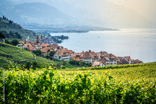 Scenic view of Rivaz village in middle of Lavaux terraced vineyards over Geneva lake in Lavaux Switzerland photo