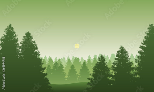 black forest in Germany