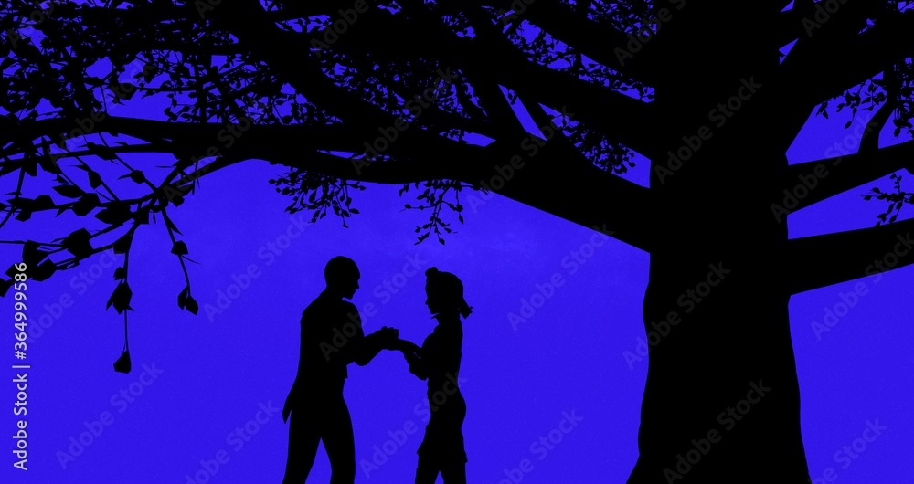 Boy proposes the girl and kisses her under a tree sky full of stars