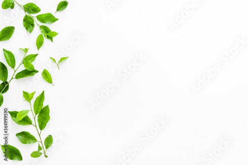 Green tree leaves pattern. Nature summer concept, above view, flat lay
