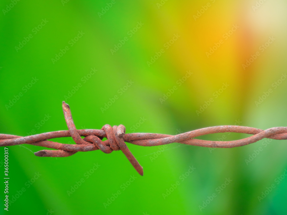 Old rusty barbed wire fence on green nature background and texture. Old rusty barbed wire fence on green nature background and texture.