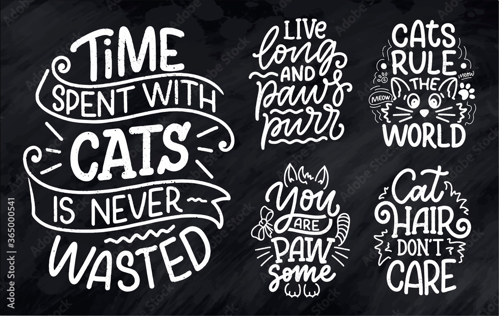 Set with funny lettering quotes about cats for print in hand drawn style. Creative typography slogans design for posters. Cartoon vector illustration.
