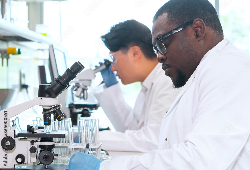 Scientist working in lab. Doctors making medical research. Biotechnology, chemistry, science, experiments and healthcare concept. Day light and window background. Scientist working in lab. Doctors making medical research. Biotechnology, chemistry, science, experiments and healthcare concept. Day light and window background.