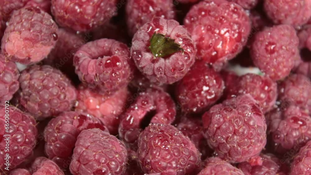 Ripe juicy raspberries lies on a plate. Ripe organic raspberries close-up. Ripe juicy raspberries lies on a plate. Ripe organic raspberries close-up.